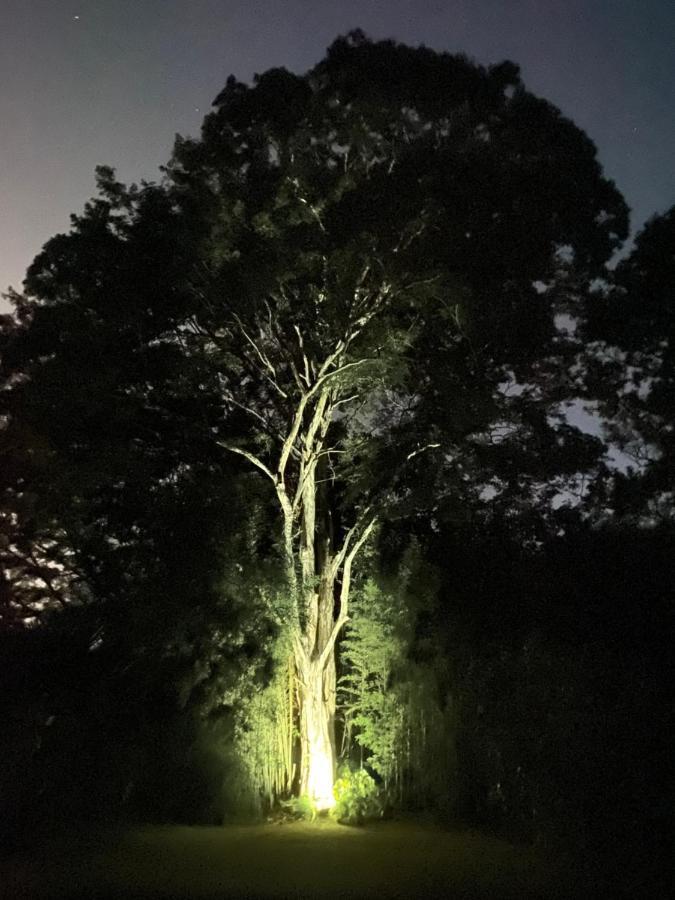 Recanto Da Floresta - Casa De Campo Em Secretario Petropolis  Luaran gambar